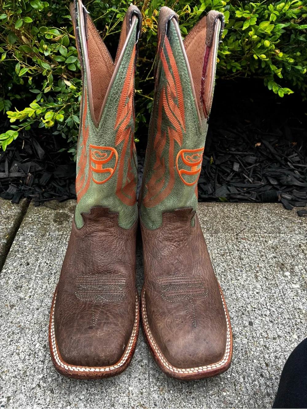 Hooey Twisted X boots